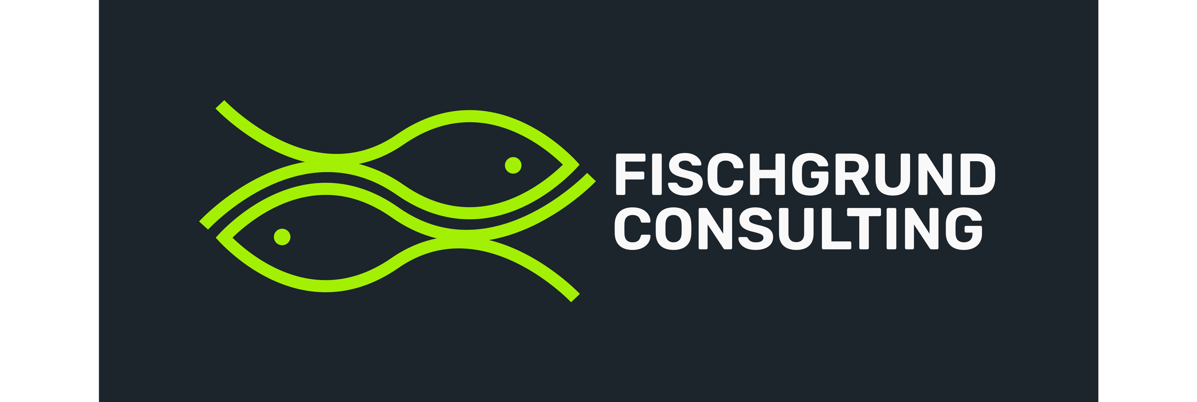 Fischgrund Consulting