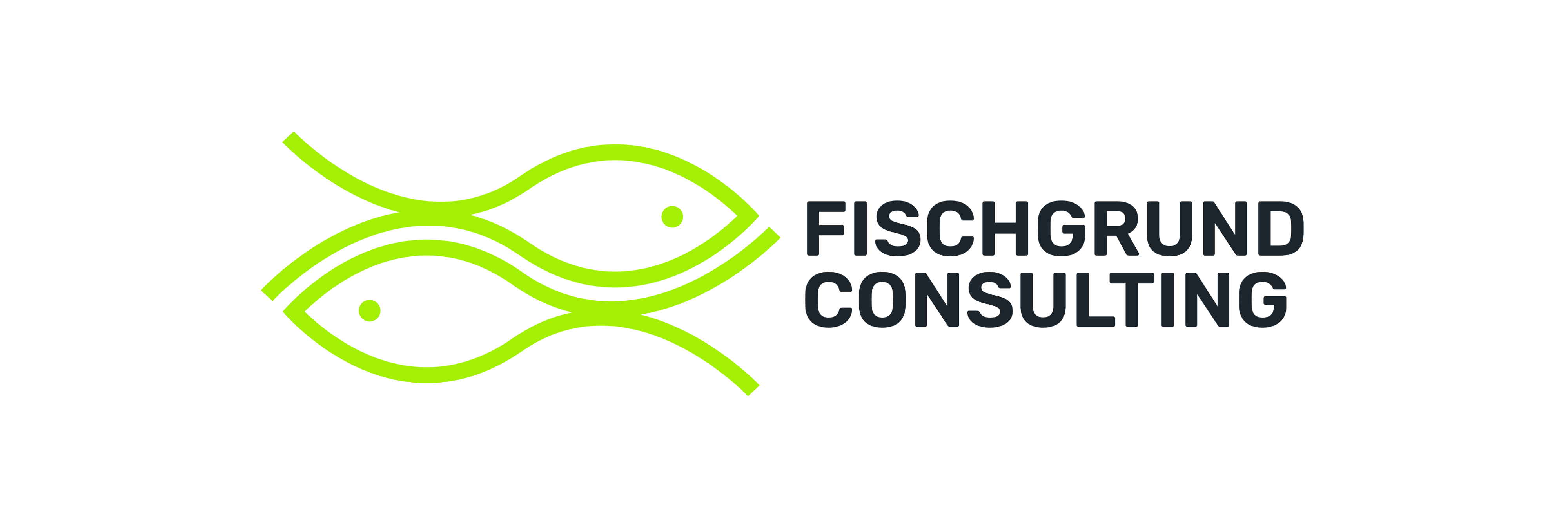 Fischgrund Consulting